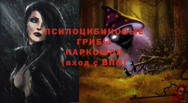 амф Лабытнанги
